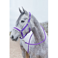 Longe Howard Crescendo Horze Preto