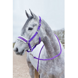 Longe Howard Crescendo Horze Violeta