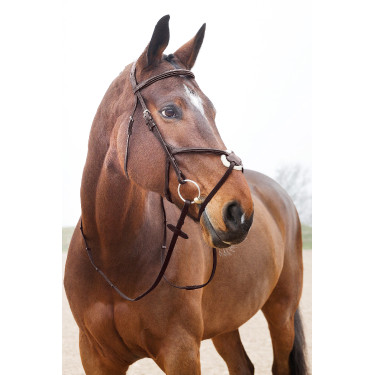 Cabeçada com noseband cruzado Prescott Horze Cabeçada com noseband cruzado Prescott Horze