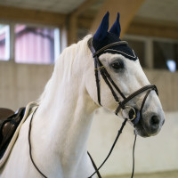 Touca Sam com orelhas B Vertigo contra moscas Azul-marinho