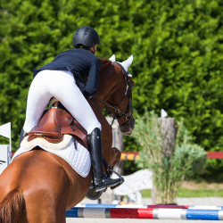 Botas de cavaleiro Winslow Horze Preto Botas de cavaleiro Winslow Horze Preto