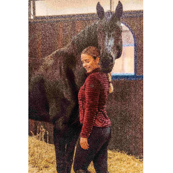 Casaco polar de equitação listrado feminino Horze Della Port Royale Bordô Casaco polar de equitação listrado feminino Horze Della Port Royale Bordô