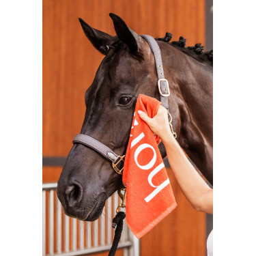 Toalha de Mãos Horze Laranja ferrugem
