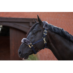 Halster Bucas Show-Line Marinho / cinza Azul Halster Bucas Show-Line Marinho / cinza Azul