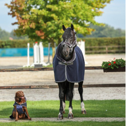 Cobertor polar Bucas Show-Line 400g Marinho / cinza Azul Cobertor polar Bucas Show-Line 400g Marinho / cinza Azul