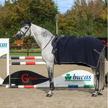 Cobertor polar Show-Line Bucas 600g Marinho / cinza Cobertor polar Show-Line Bucas 600g Marinho / cinza