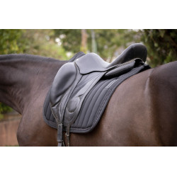 Tapetes verticais de adestramento Paddock Sport Preto Tapetes verticais de adestramento Paddock Sport Preto