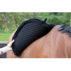 Almofada LeMieux Merino+ Sensitive Skin Euro Jump Square Almofada LeMieux Merino+ Sensitive Skin Euro Jump Square