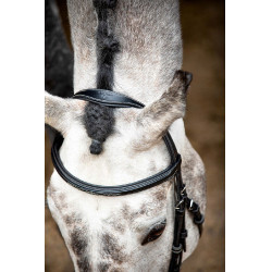 Bridon Montar Hunter Preto