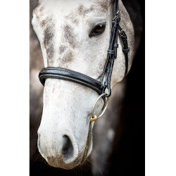 Bridon Montar Hunter Preto