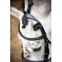 Bridon Montar Hunter Preto