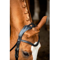 Bridão Montar Monarch couro curtido de forma orgânica Preto Bridão Montar Monarch couro curtido de forma orgânica Preto