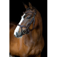 Bridão Montar Monarch couro curtido de forma orgânica Castanho