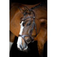 Bridão Montar Monarch couro curtido de forma orgânica Castanho