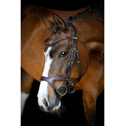 Bridão Montar Monarch couro curtido de forma orgânica Castanho Bridão Montar Monarch couro curtido de forma orgânica Castanho