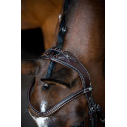 Bridão Montar Monarch couro curtido de forma orgânica Castanho Bridão Montar Monarch couro curtido de forma orgânica Castanho