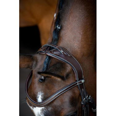 Bridão Montar Monarch couro curtido de forma orgânica Castanho Bridão Montar Monarch couro curtido de forma orgânica Castanho