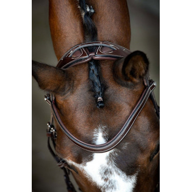 Bridão Montar Monarch couro curtido de forma orgânica Castanho Bridão Montar Monarch couro curtido de forma orgânica Castanho