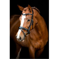 Bridão Montar Normandie couro curtido Preto Bridão Montar Normandie couro curtido Preto
