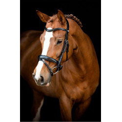 Bridão Montar Normandie couro curtido Preto