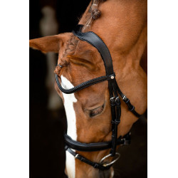 Bridão Montar Normandie couro curtido Preto