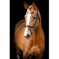 Bridão Montar Normandie couro curtido Preto Bridão Montar Normandie couro curtido Preto