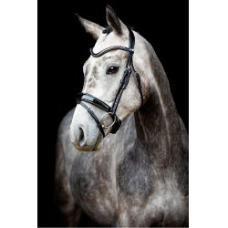 Bridão Montar Normandie Deluxe couro curtido Preto Bridão Montar Normandie Deluxe couro curtido Preto