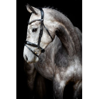 Bridão Montar Normandie Deluxe couro curtido Preto Bridão Montar Normandie Deluxe couro curtido Preto