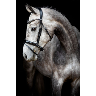 Bridão Montar Normandie Deluxe couro curtido Bridão Montar Normandie Deluxe couro curtido
