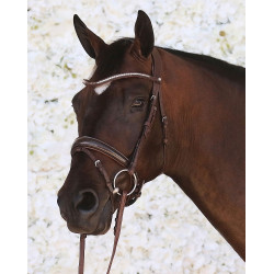 Bridão Montar Normandie Deluxe couro curtido Castanho Bridão Montar Normandie Deluxe couro curtido Castanho