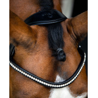 Bridão Montar cabeçada Anatômica Fair Preto