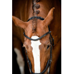 Bridão Montar US Excellence Adapt couro curtido Preto Bridão Montar US Excellence Adapt couro curtido Preto