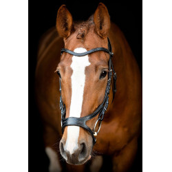 Bridão Montar US Excellence Adapt couro curtido Preto Bridão Montar US Excellence Adapt couro curtido Preto