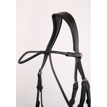 Frontal Montar couro redondo curvado