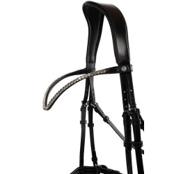 Frontal Montar Fair cristal cinza curvado