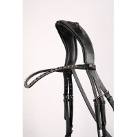 Frontal Montar Fair cristal preto curvado Preto