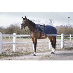Cobre-rins Equithème Tyrex 600 D Cobre-rins Equithème Tyrex 600 D