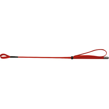 Chicote Whip & Go 53 cm Chicote Whip & Go 53 cm