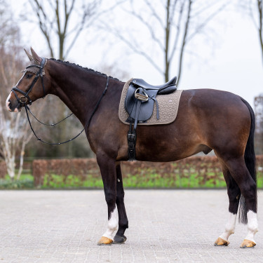 Sela HV Polo Essential Dressage Sela HV Polo Essential Dressage