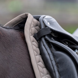 Sela HV Polo Essential Dressage Pedra Cinzento Sela HV Polo Essential Dressage Pedra Cinzento