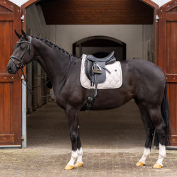 Sela HV Polo Dana Dressage Natural Castanho