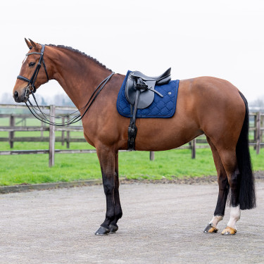 Sela HV Polo Dana Dressage Marinho Azul-marinho