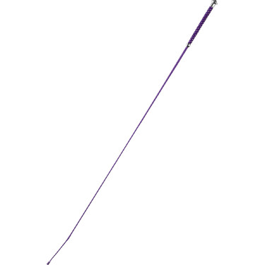 Chicote de adestramento Whip & Go Points Chicote de adestramento Whip & Go Points