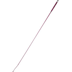 Chicote de adestramento Whip & Go Points Chicote de adestramento Whip & Go Points