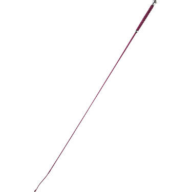Chicote de adestramento Whip & Go Points Chicote de adestramento Whip & Go Points