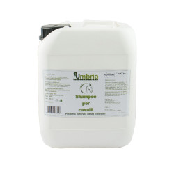 Shampoo para cavalos Ama 5 L Umbria Equitazione