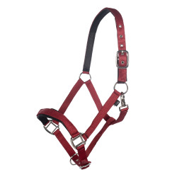 Cabresto Breakaway 2 HKM Bordéus Bord&amp;ocirc;