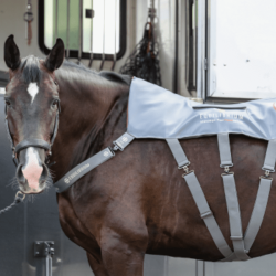 Tapete de massagem aquecido Equilibrium Cinzento Tapete de massagem aquecido Equilibrium Cinzento