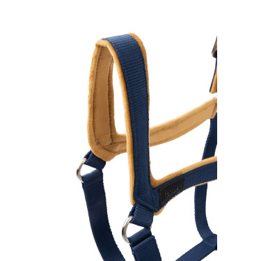 Cabresto Delémont Horze Azul Ártico Cabresto Delémont Horze Azul Ártico