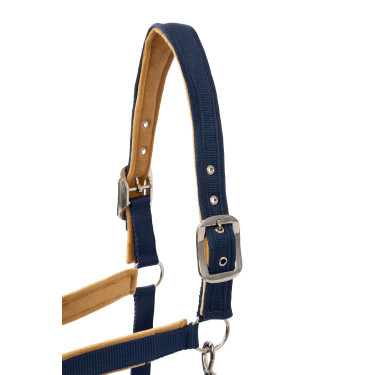 Cabresto Delémont Horze Azul Ártico